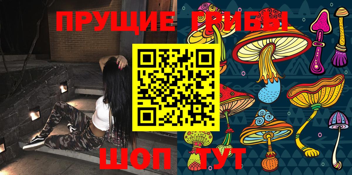 Соликамск  Галлюциногенные грибы Psilocybe  Вход с VPN  Псилоцибиновые грибы GOLDEN TEACHER 